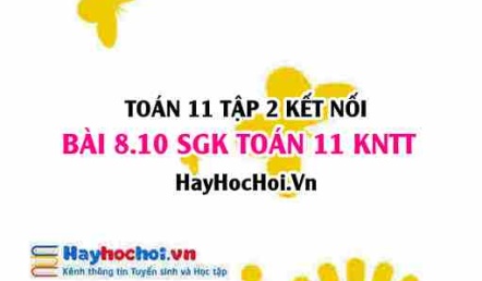 Bài 8.10 SGK Toán 11 Tập 2 Kết nối tri thức